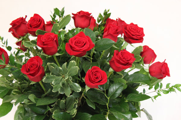 Beautiful Two Dozen Roses