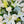 Load image into Gallery viewer, White Sympathy Basket