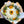 Load image into Gallery viewer, This is a gorgeous bouquet of 20-24 white roses and 5-8 sunflowers, exquisitely wrapped in waterproof paper and topped off with a bow. Surprise someone special and make lasting memories with this beautiful bouquet! Flower delivery available to local hospitals Houston Methodist,St. Lukes, Memorial Hermann and much more!