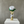 Load image into Gallery viewer, The Eternal Ribbon Rose
