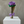 Load image into Gallery viewer, The Eternal Ribbon Rose
