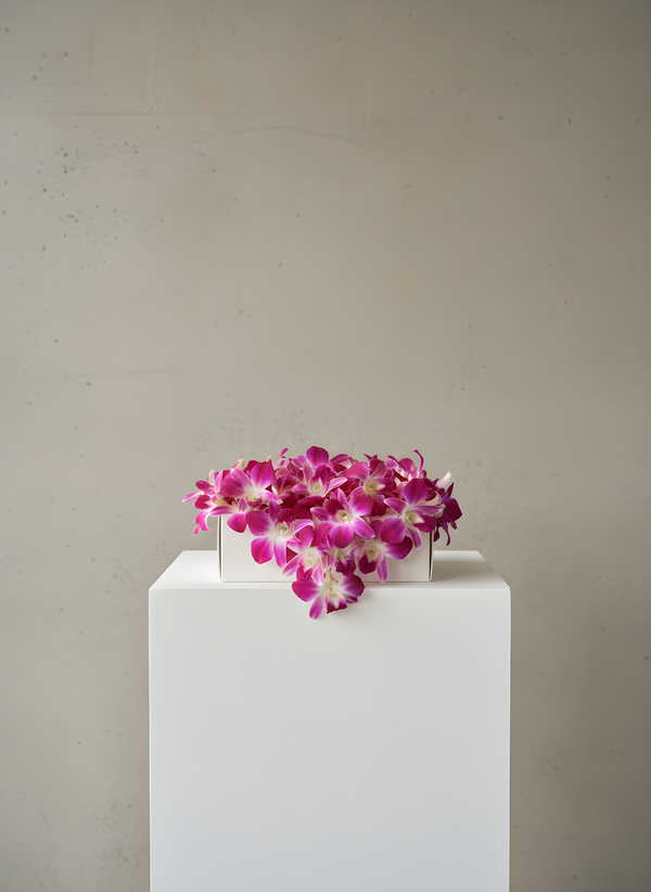 Fresh Orchid Lei