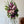 Load image into Gallery viewer, Lavender Standing Spray

