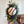Load image into Gallery viewer, Custom standing spray
