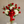 Load image into Gallery viewer, Beauty Lux Roses

