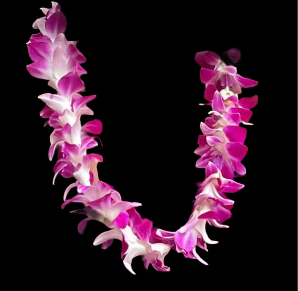 Fresh Orchid Lei