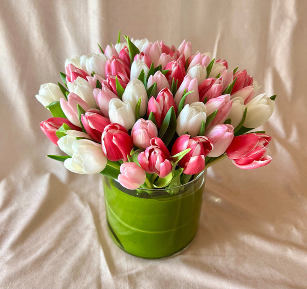 Pearly Tulips