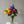 Load image into Gallery viewer, Eclectic
