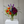 Load image into Gallery viewer, Eclectic
