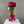 Load image into Gallery viewer, The Eternal Ribbon Rose
